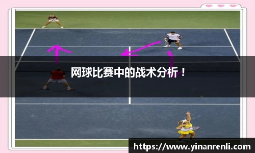 多彩网