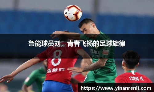 多彩网